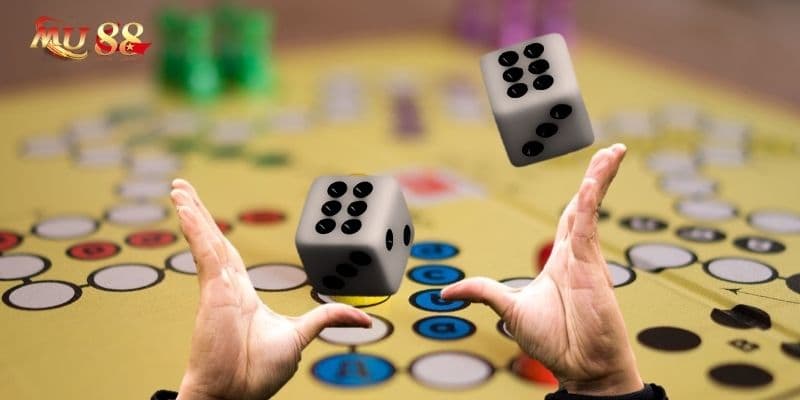 Bí quyết chơi xúc xắc nhanh thắng cùng chuyên gia