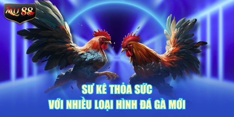 Sư kê thỏa sức với nhiều loại hình đá gà mới